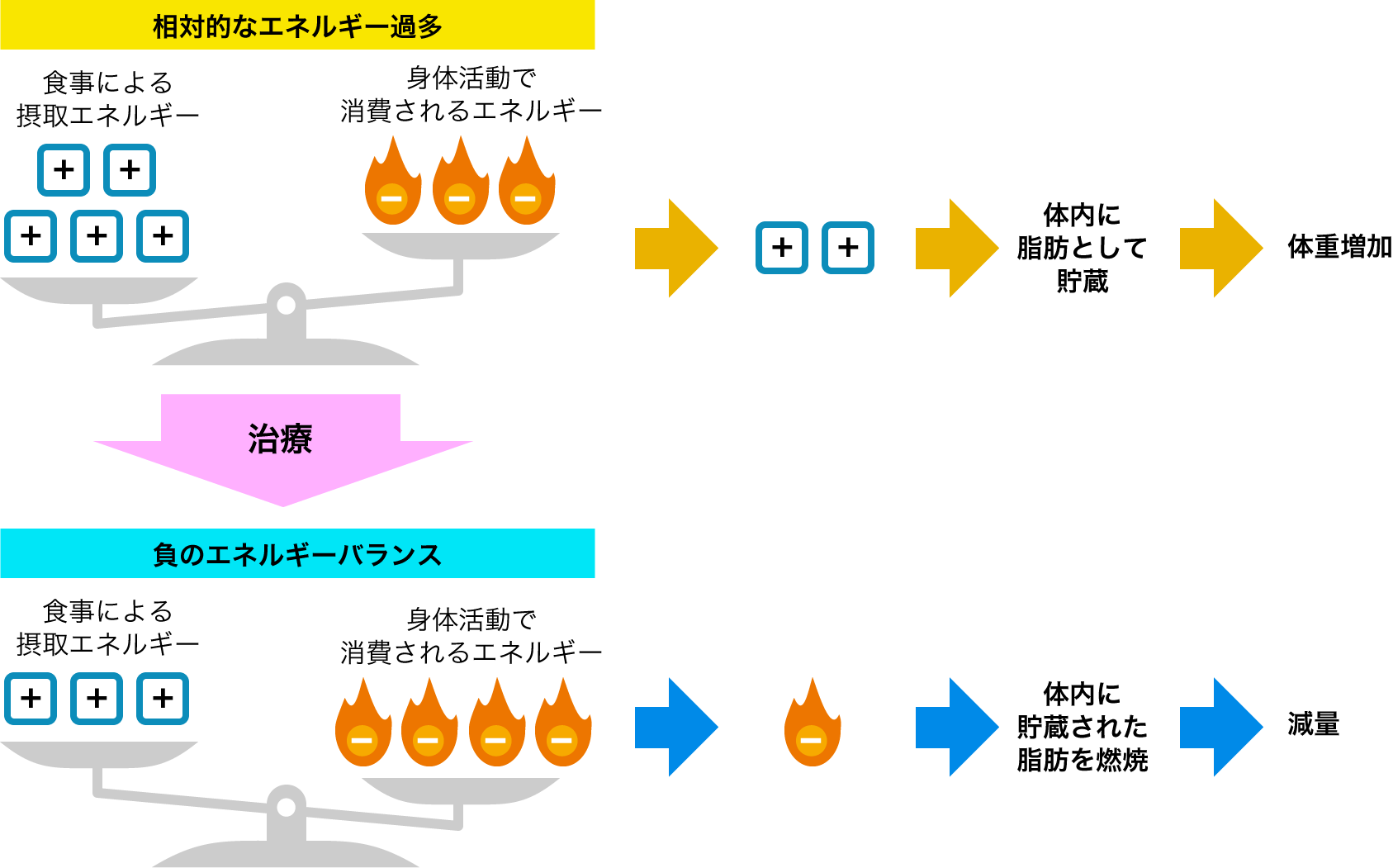 肥満症の治療って かろやかサークル