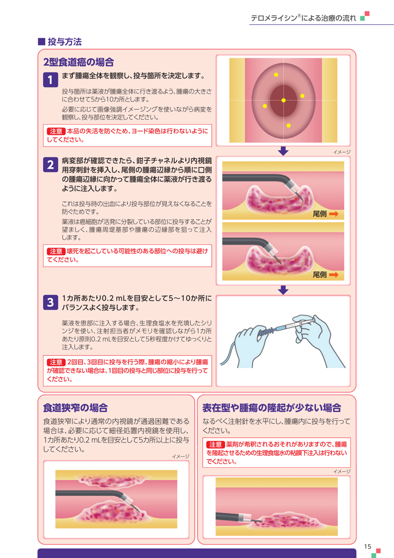 投与方法 PDF サムネイル